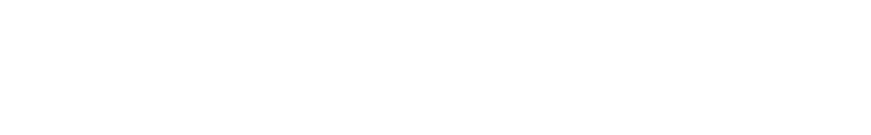 B.I. Visual Graphics logo